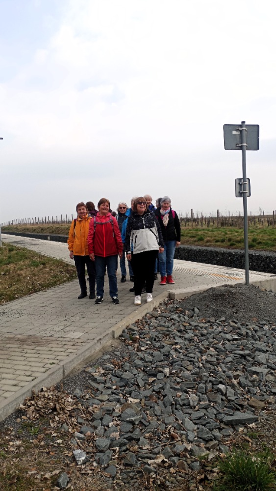 IMG_20250326_093112