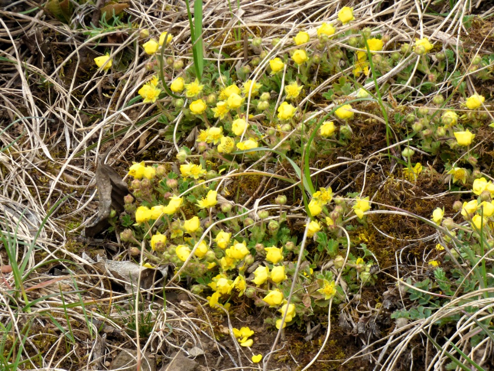 P1160109