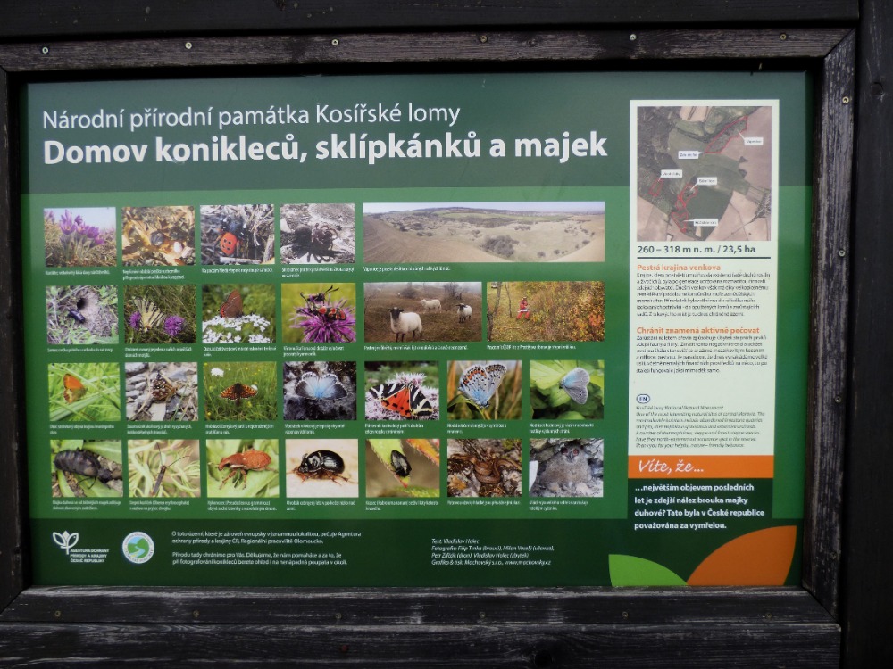 P1160116