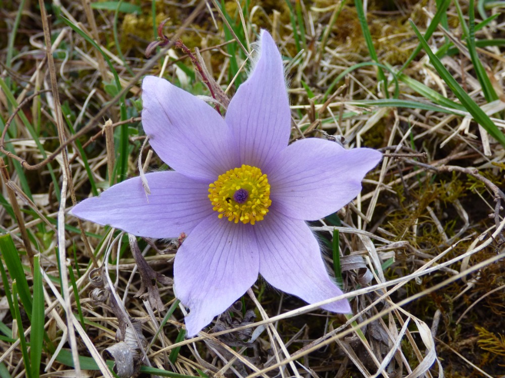 P1160161
