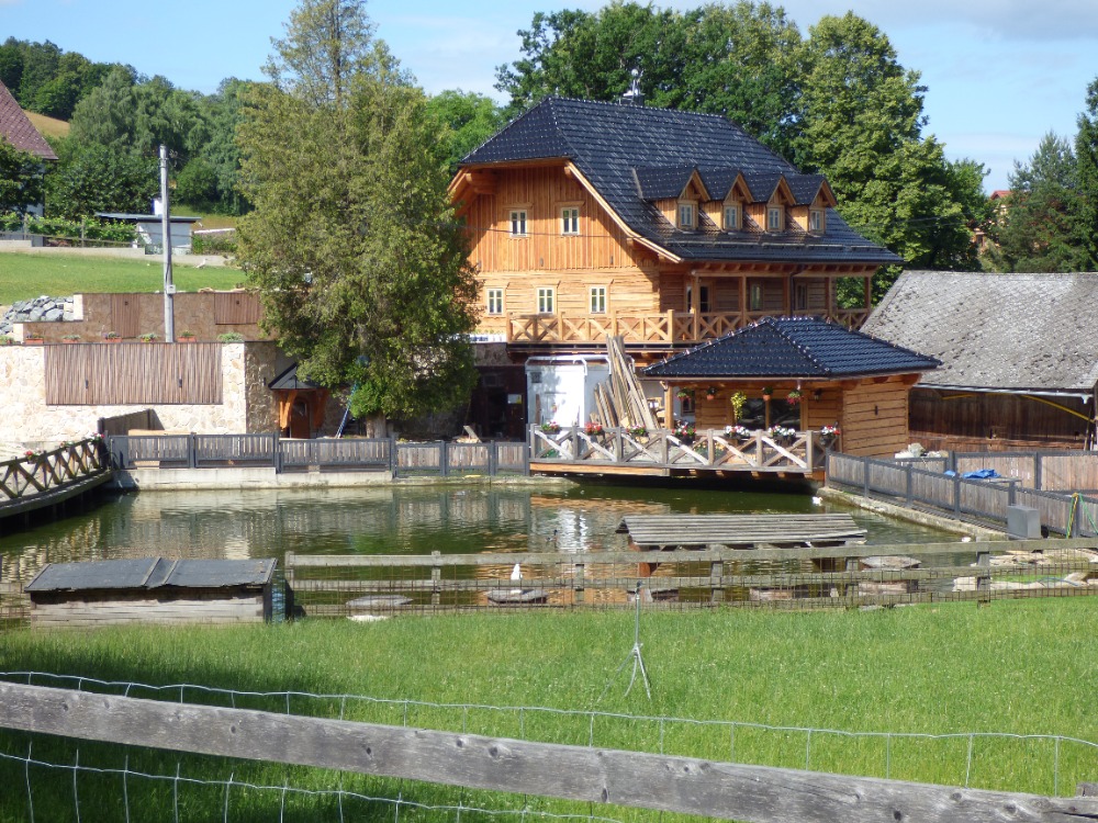 P1160894