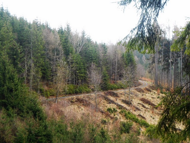 4-DSCN3100
